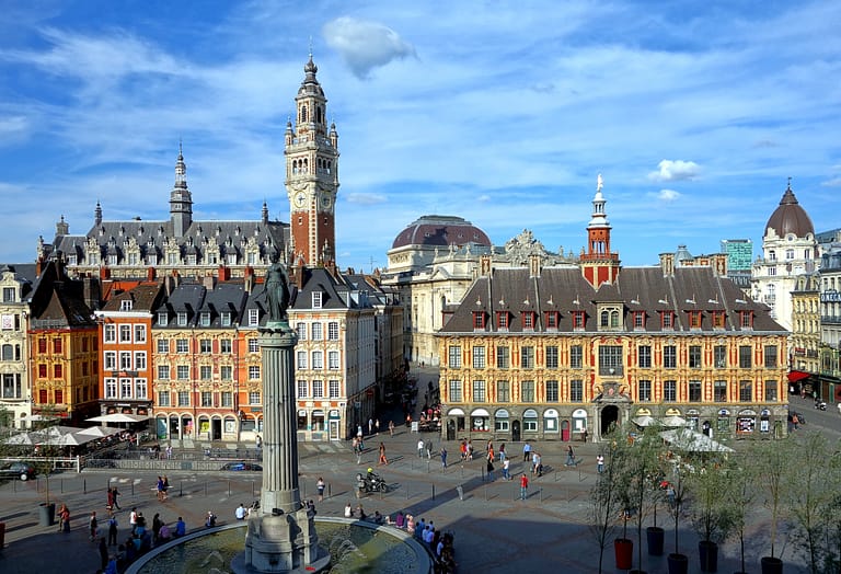 Transaldis : Votre Transporteur pour l’envoi de vos palettes à Lille